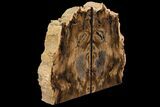 Petrified Wood Bookends - Oregon #86192-1